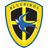 Cardiff City Logo