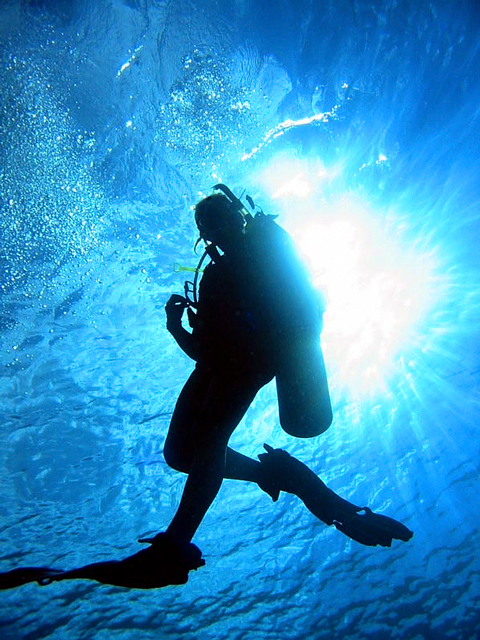 Diver